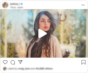 Instagram video downloader